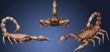3D модель Пустынный скорпион (STL)